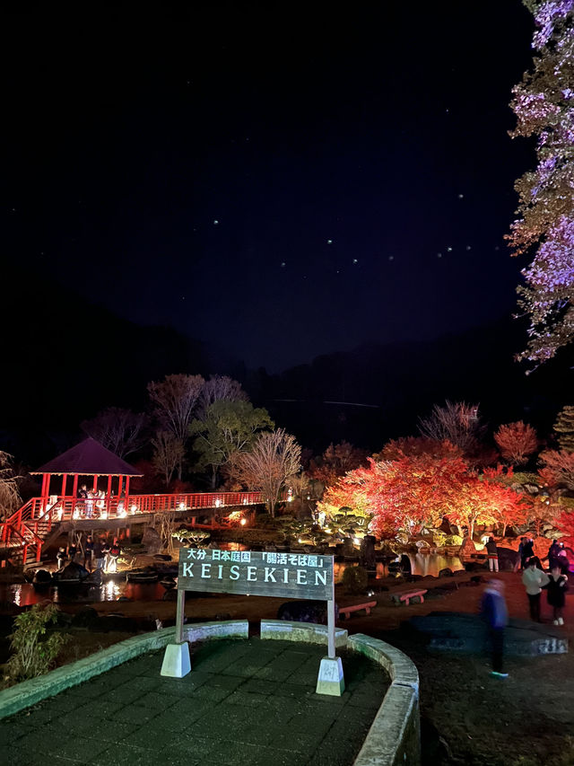 【大分観光】ライトアップされた紅葉を楽しめる日本庭園🍁✨️