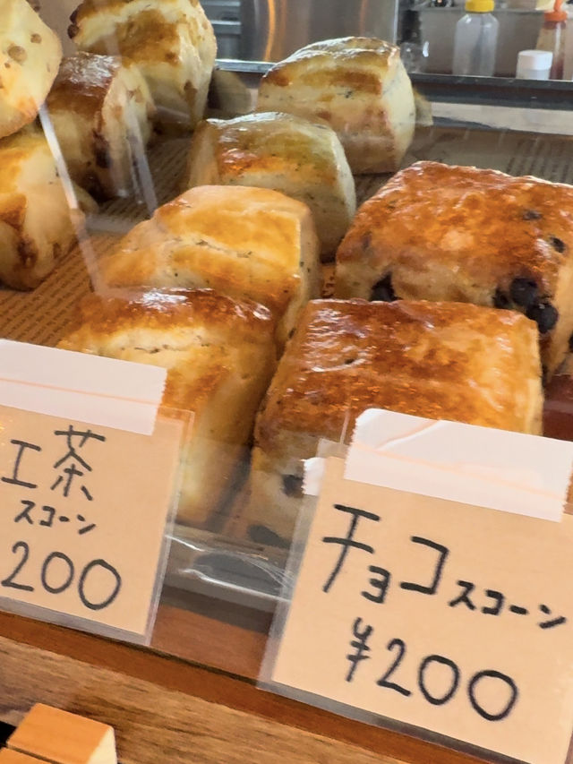 【福岡カフェ】ボリューム満点ランチとカラフルカフェラテ🌈