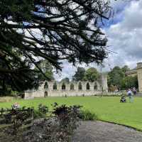 Museum Gardens