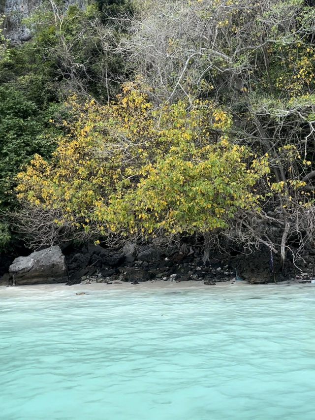เที่ยวเกาะพีพี กระบี่🌊