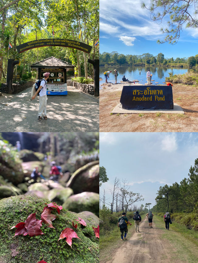 เดินป่าที่ภูกระดึง | จ.เลย 🚶🏻🌿🌳🥾