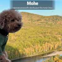 Autumn in Mohe 🍂
