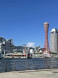 【兵庫県】観光周遊バス『ループバス』で神戸観光！