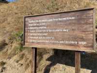 Pink Beach อุทยานแห่งชาติหมู่เกาะ Komodo