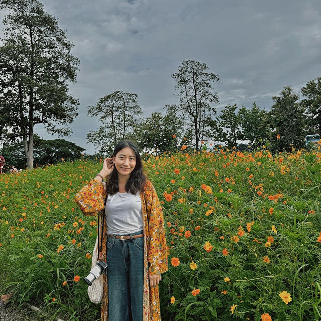 สวนเฉลิมพระเกียรติ 82 พรรษา อบจ.เชียงใหม่