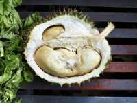 Durian: The Controversial King of Fruits