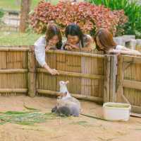 สิ้นปีนี้มารับลมหนาวกับบรรยากาศดี ๆ 🛴🌳