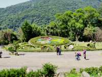 Yangmingshan National Park 