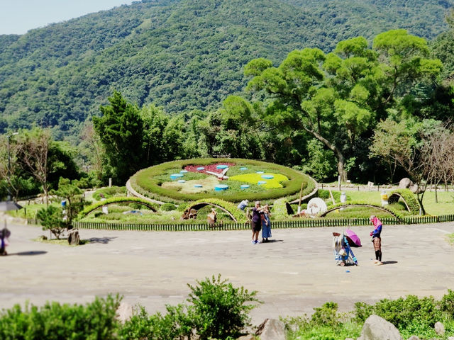 Yangmingshan National Park 