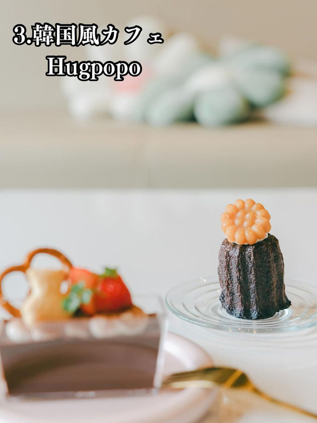 【福井】福井で巡るカフェ7選☕️