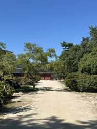 World Heritage Site Changdeokgung Palace and Secret garden (shhhh!)