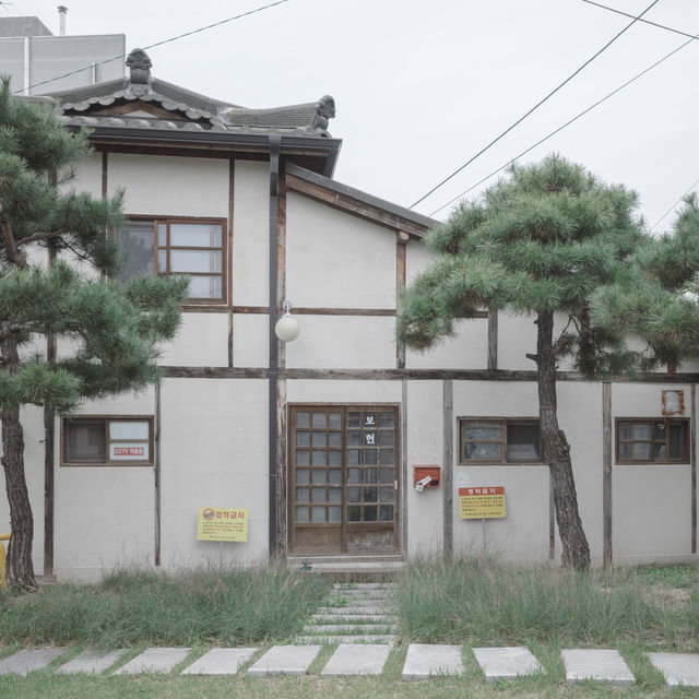 다양한 농산물과 다양한 먹거리가 가득한