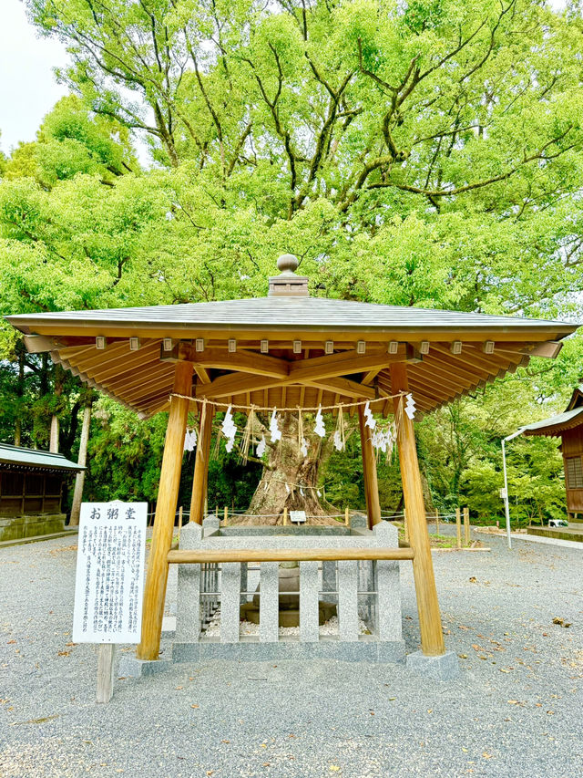 【佐賀県】栗を「りく」と呼ぶ神社