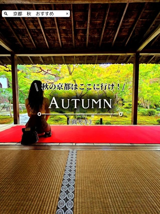 【京都/紅葉スポット】お部屋の中から見る中庭と枯山水が見事なお寺🍂🌾