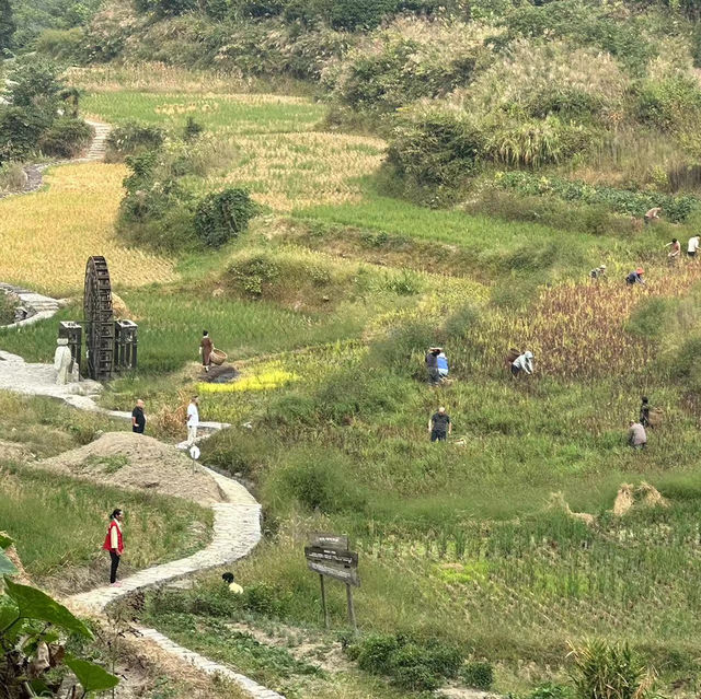 張家界是一個人間仙景