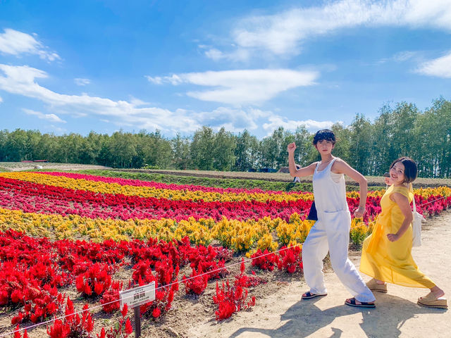 【北海道】絶景✨色とりどりの花が咲き誇るファーム富田