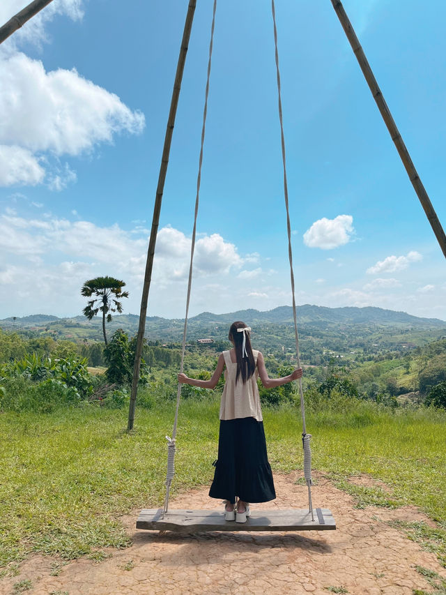 ไปให้อาหารน้องแกะที่ ม่อนแกะ เขาค้อ กัน 🌳🐑 