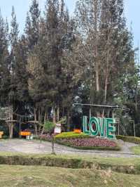 Hotel with amazing view of Lake Toba 