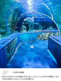 【 東京 品川 】本当は秘密にしたい東京の穴場水族館