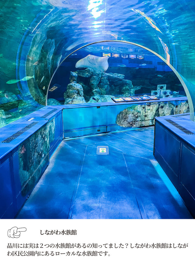 【 東京 品川 】本当は秘密にしたい東京の穴場水族館
