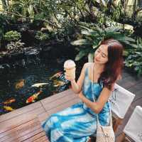 #อสงไขยคาเฟ่ #คาเฟ่ระยอง #คาเฟ่บ้านเพ 