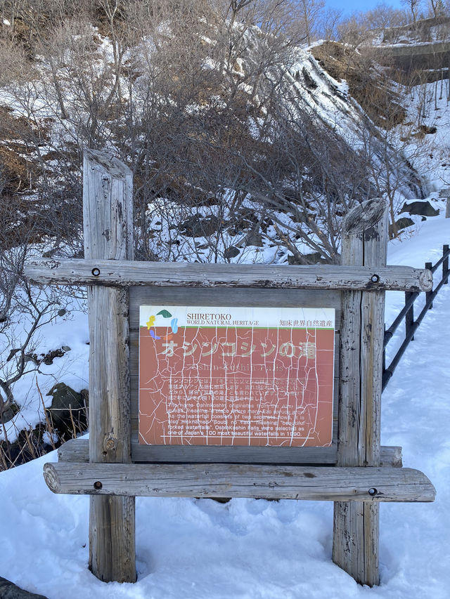 【北海道】冬の知床半島