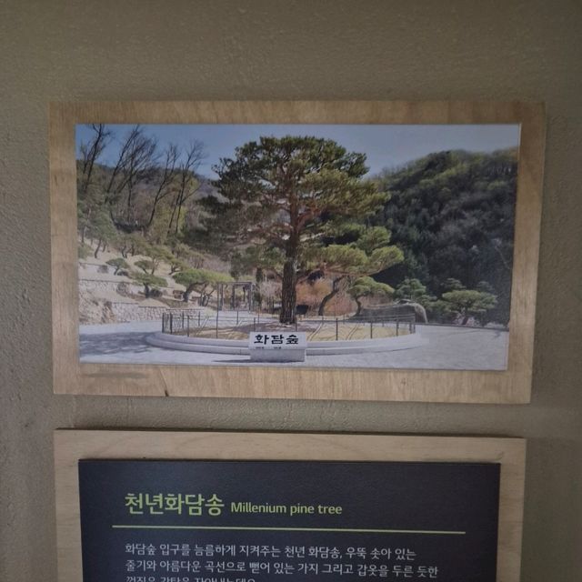 🏞비바리움을 연상케하는 자연 아쿠아리움 화담숲자연생태관🏞