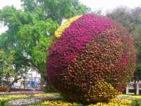 ฟังดนตรีในสวน..เชียงรายดอกไม้งาม
