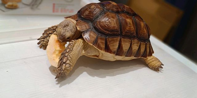 中友百貨/一中街/育才街/上和園