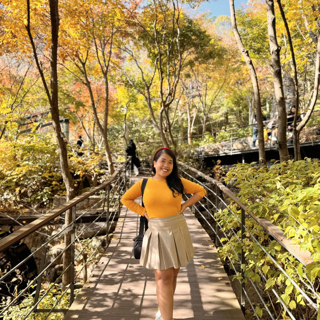 Autumn Hues