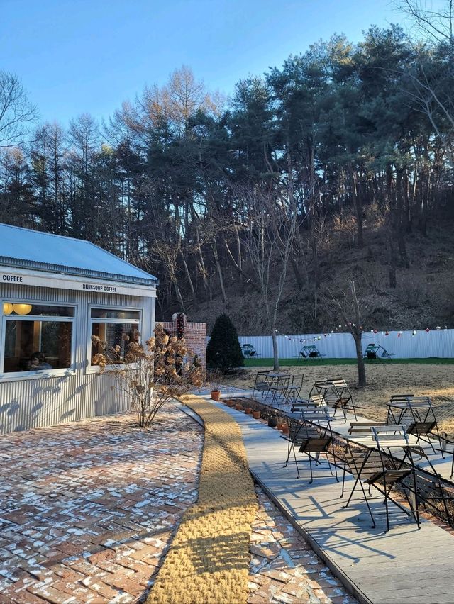 숲속 크리스마스 감성 즐기는 봉화카페🎄