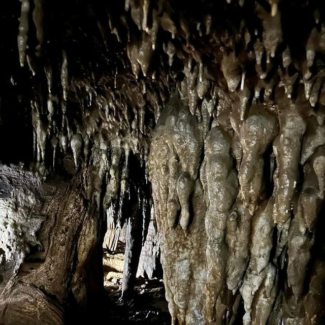 ชมถ้ำสุดอลังการที่ตรัง✨️