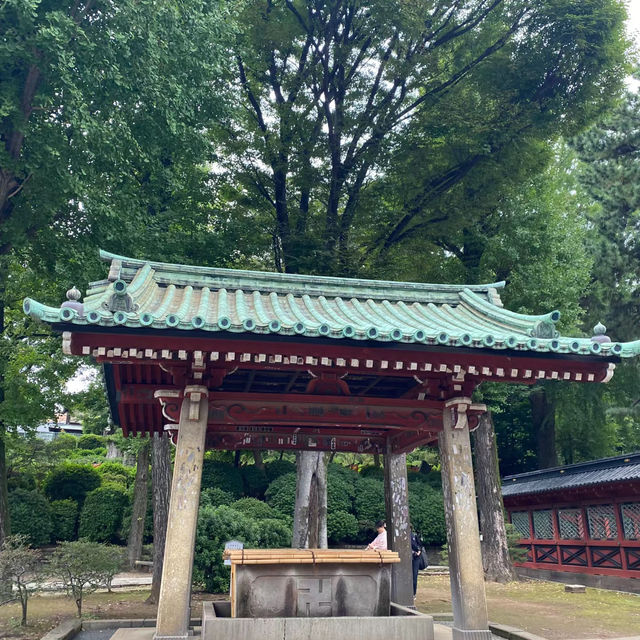 水天宮🐲歷史的韻味！⛩️✨