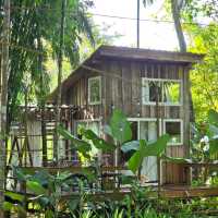 A Serene Escape at Baan Rai I Arun