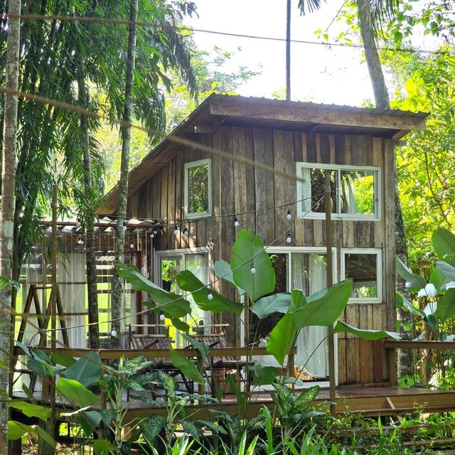 A Serene Escape at Baan Rai I Arun