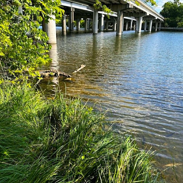 LADY BIRD LAKE HIKE AND BIKE TRAIL.