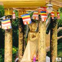 วัดเวฬุวันมหาวิหาร