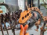🦕🦓🦌Shanghai natural history museum