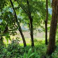 A Journey Through Time: Exploring Batad Rice Terraces