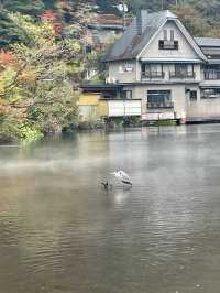 【湯布院】湯布院といえばココ✨神秘的な湖✨