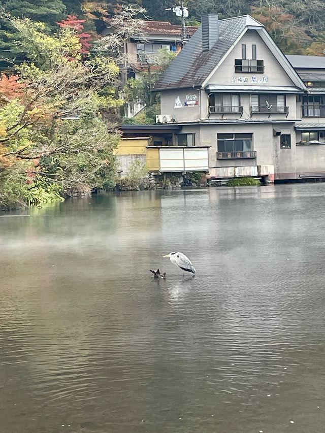 【湯布院】湯布院といえばココ✨神秘的な湖✨