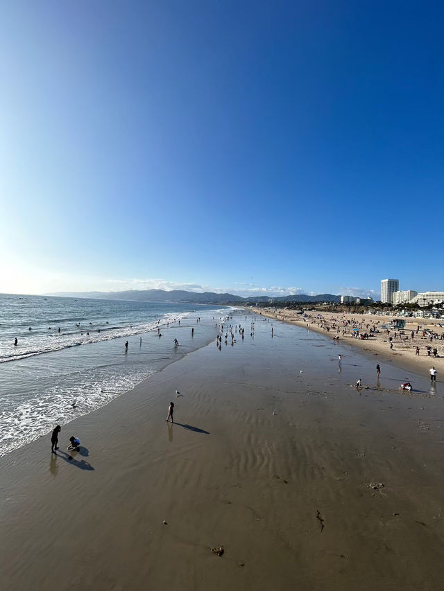 🌴 カリフォルニア1日プラン: 野球観戦からビーチまで満喫！