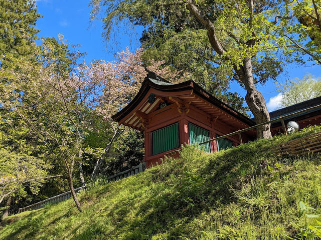 🇯🇵日本【鹽竈神社】