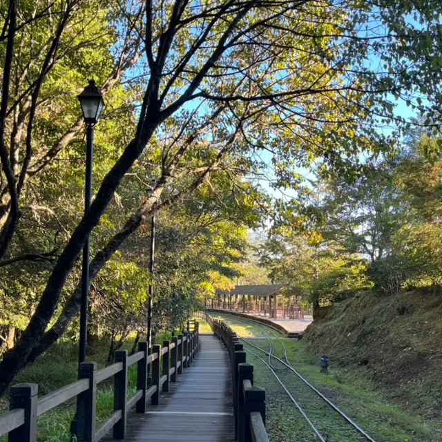 Explore the magical Alishan, Taiwan