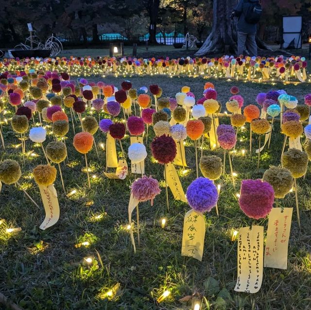 弘前城渡船賞夜楓，燈火楓紅醉是浪漫