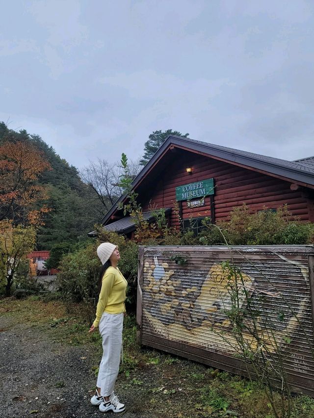 가을풍경이 아름다웠던 대관령 강릉카페🍁