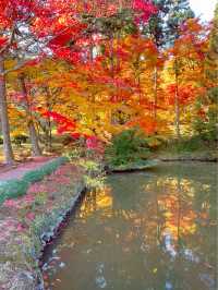 京都南丹の美しい紅葉🍁龍穏寺の秋🍁