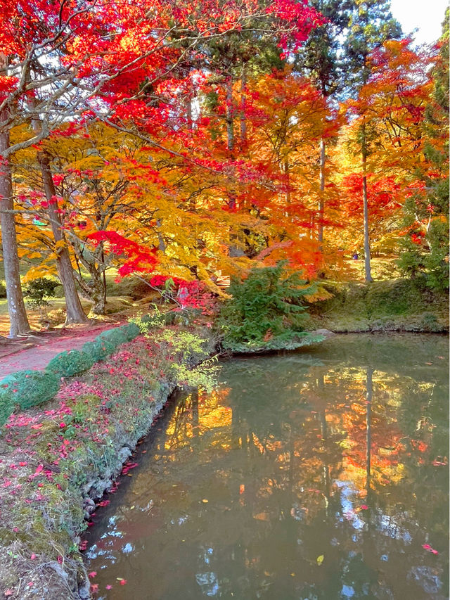 京都南丹の美しい紅葉🍁龍穏寺の秋🍁