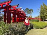 ฮิโนกิแลนด์ (HINOKI LAND) เชียงใหม่