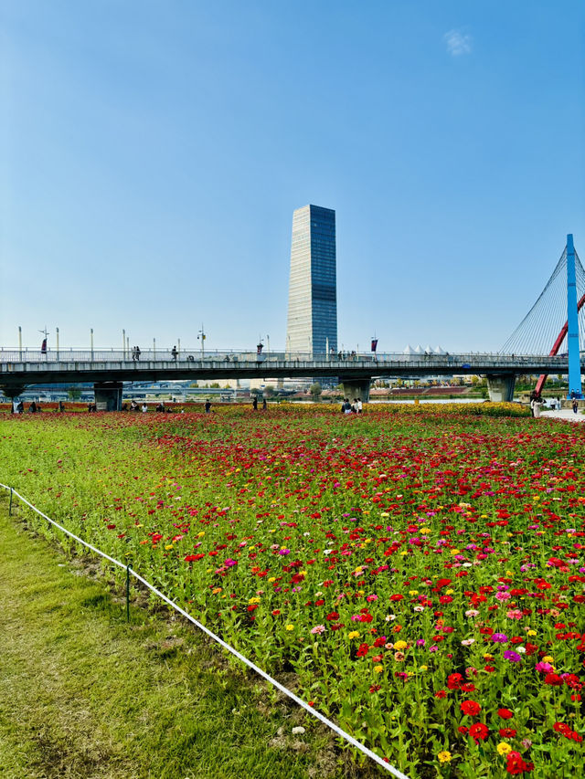 엑스포 수상공원